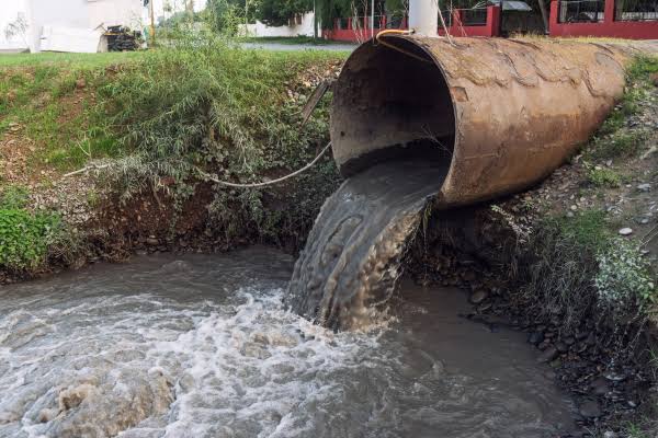 Is Sewage Backup Dangerous? Health Risks and Exposure Basics